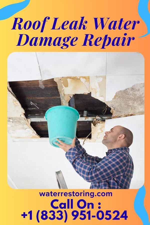 Roof Leak Water Damage Repair in Curtiss, WI