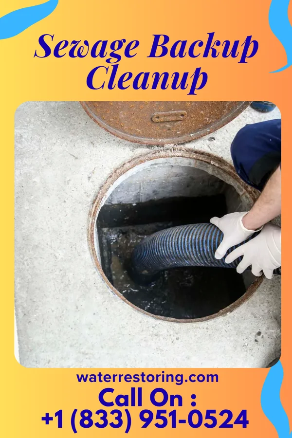Sewage Backup Cleanup in Curtiss, WI